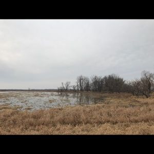 Meet your Posher, Libby